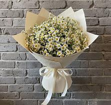 Букет цветов из:  Ромашки #REPLACE_PRED# Горьковском